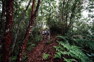 BIB: 
                            <button type="button" onclick="openModal(26201135)" class="btn btn-primary btn-sm float-right btn-popup" data-toggle="modal" data-target=".modal-high-quality">
                        <i class="fas fa-shopping-cart"></i> Add to Cart
                    </button>
                                            <button type="button" onclick="isThisMe(26201135, true)" class="btn btn-success btn-sm float-right btn-popup btn-isme hidden" data-toggle="tooltip" data-placement="bottom" title="นี่คือรูปของคุณใช่ไหม คลิกที่นี่เพื่อเอาเข้าอัลบั้ม">
                        <i class="fas fa-plus"></i> Add to album
                    </button>
                    <button type="button" onclick="isThisMe(26201135, false)" class="btn btn-warning btn-sm float-right btn-popup btn-isnotme hidden">
                        <i class="fas fa-ban"></i> Remove from album
                    </button>